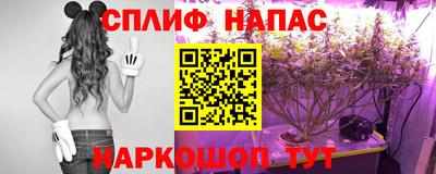 Альфа ПВП Кандалакша