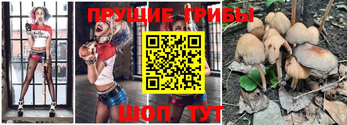 Валуйки  Псилоцибиновые грибы Psilocybine cubensis  Вход с VPN  Псилоцибиновые грибы мухоморы 